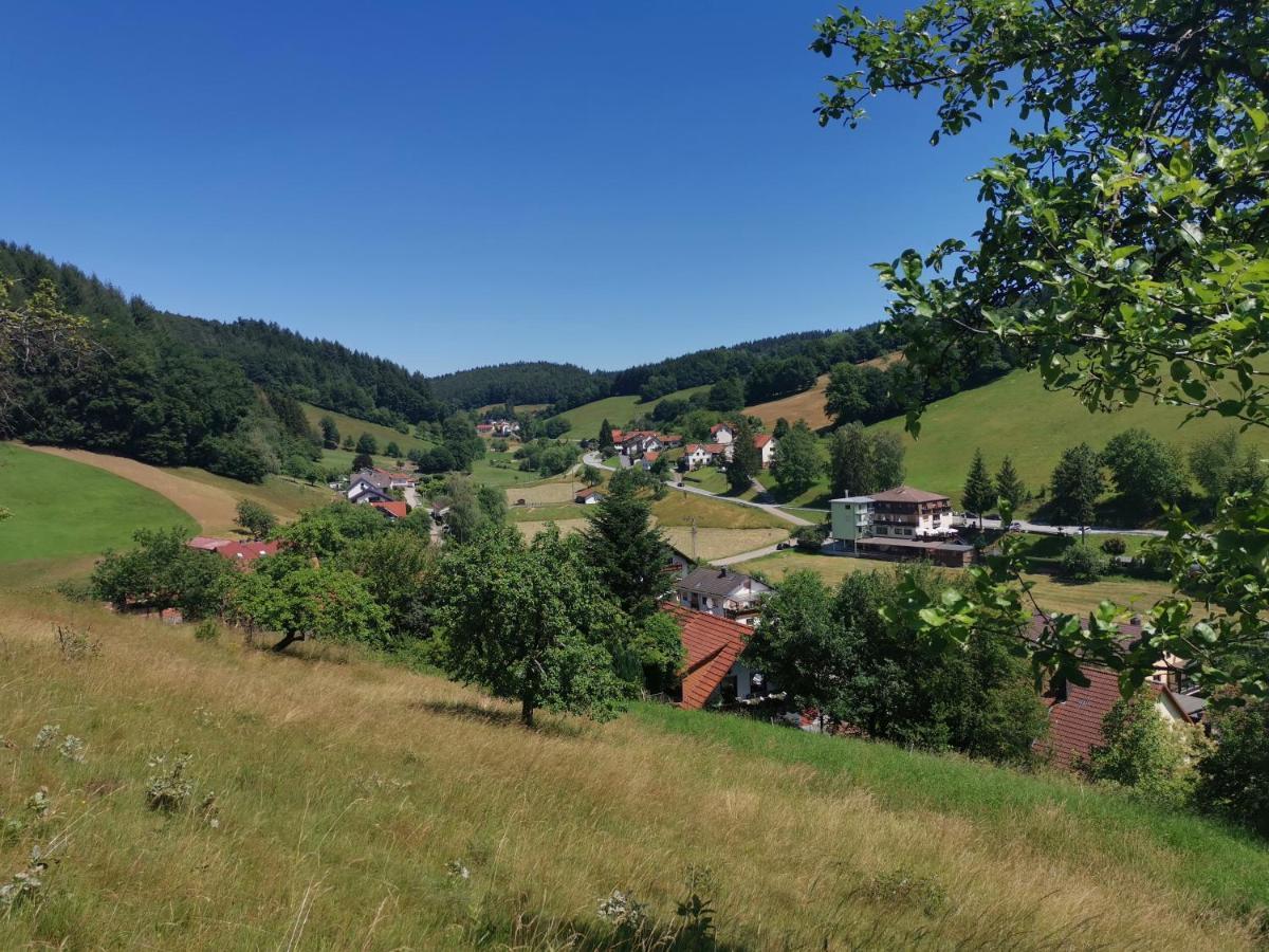Hotel Gruener Baum Mit Restaurant & Wellness Oberzent Esterno foto