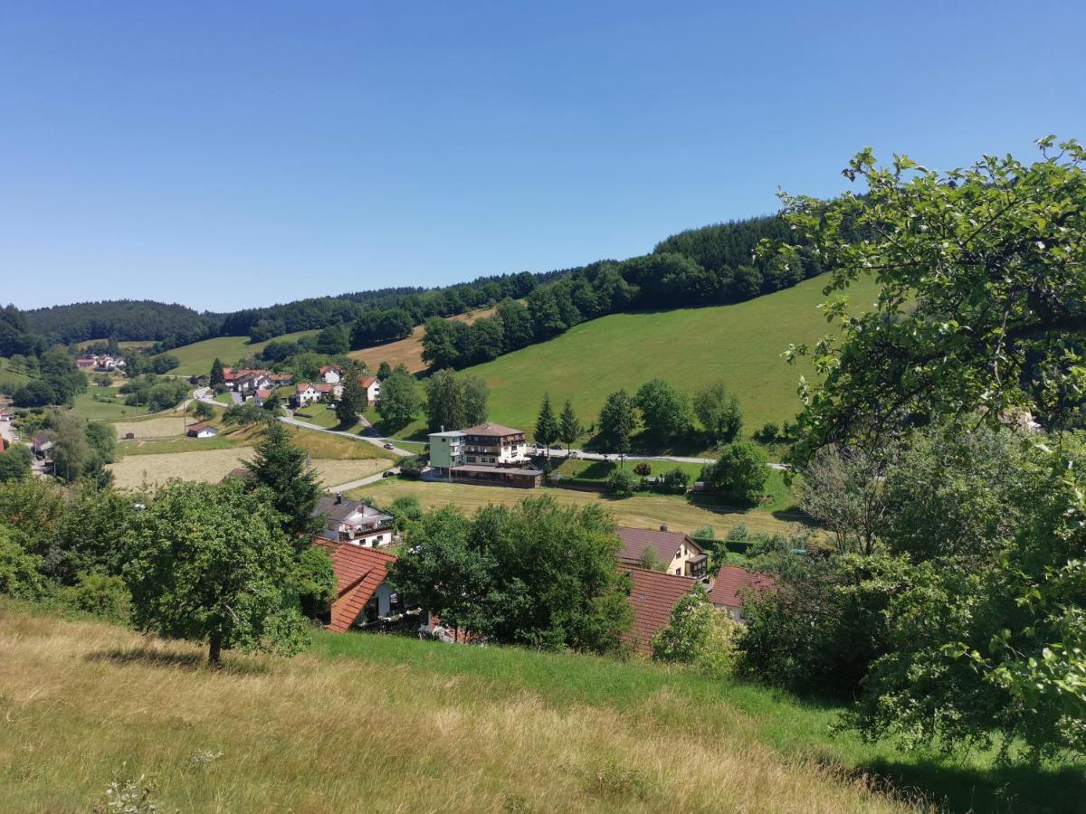 Hotel Gruener Baum Mit Restaurant & Wellness Oberzent Esterno foto