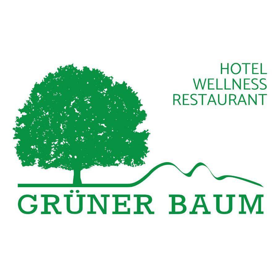 Hotel Gruener Baum Mit Restaurant & Wellness Oberzent Esterno foto