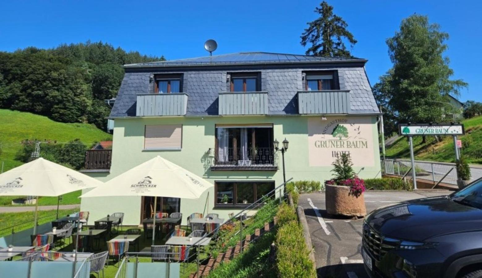 Hotel Gruener Baum Mit Restaurant & Wellness Oberzent Esterno foto