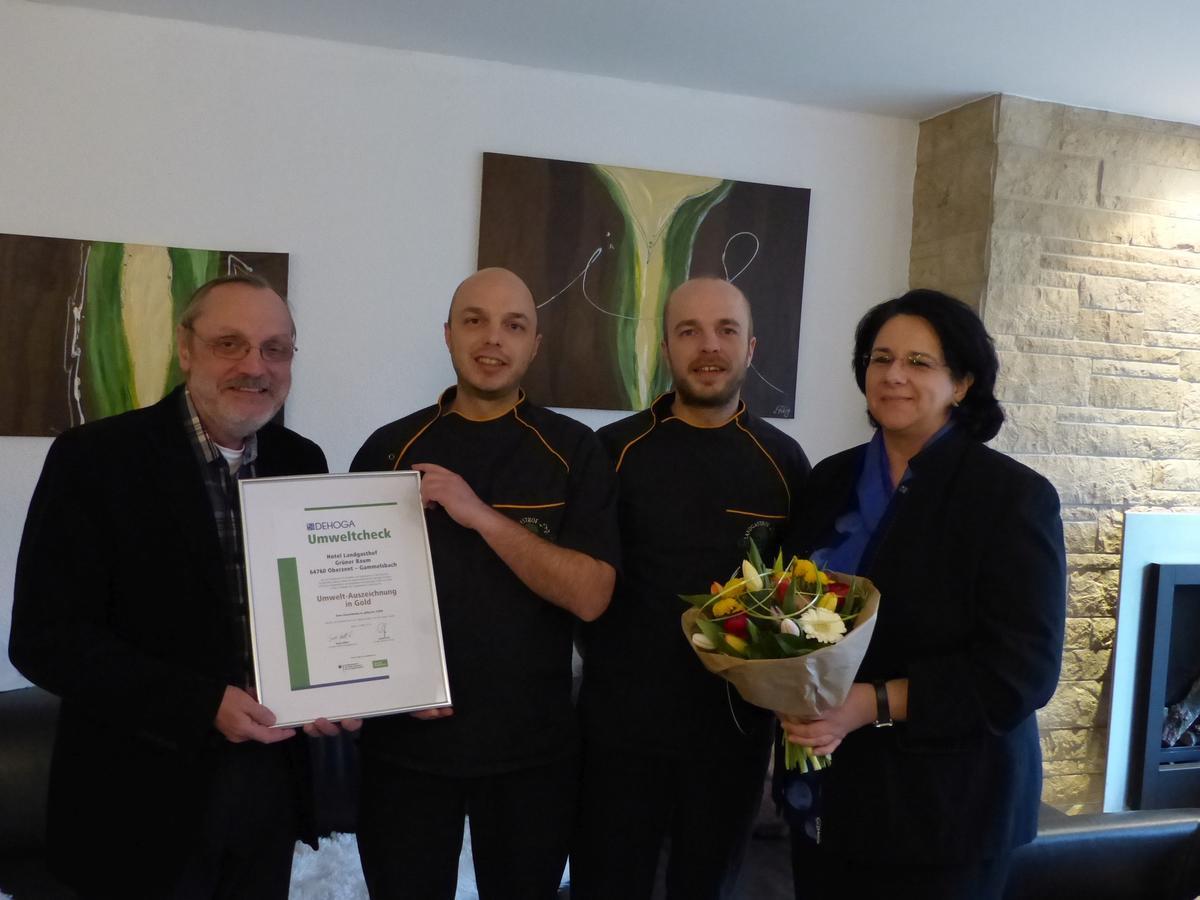 Hotel Gruener Baum Mit Restaurant & Wellness Oberzent Esterno foto