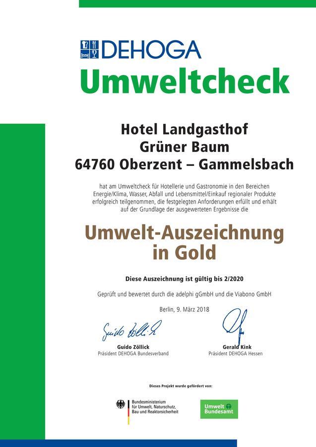 Hotel Gruener Baum Mit Restaurant & Wellness Oberzent Esterno foto